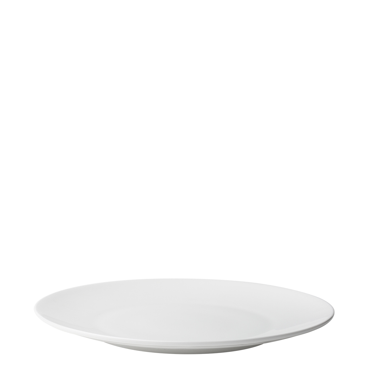 Talerz płytki 25 cm - Premium Platinum Line