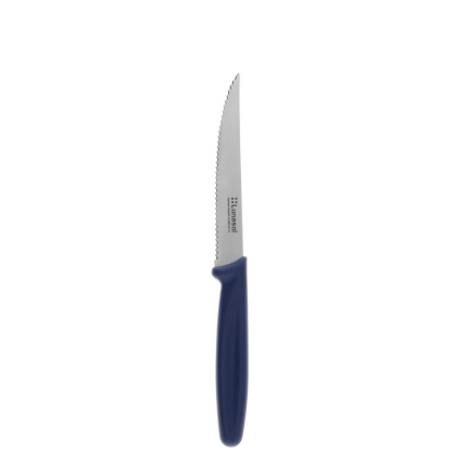Nóż do steków 11,2 cm | Master Blue