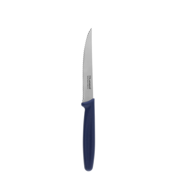 Nóż do steków 11,2 cm | Master Blue