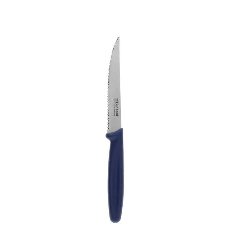 Nóż do steków 11,2 cm | Master Blue